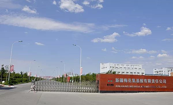 塔林鼎尚快報丨新疆梅花集團(tuán)攜塔林鼎尚公司進(jìn)行小碗菜廚藝大比拼啦！